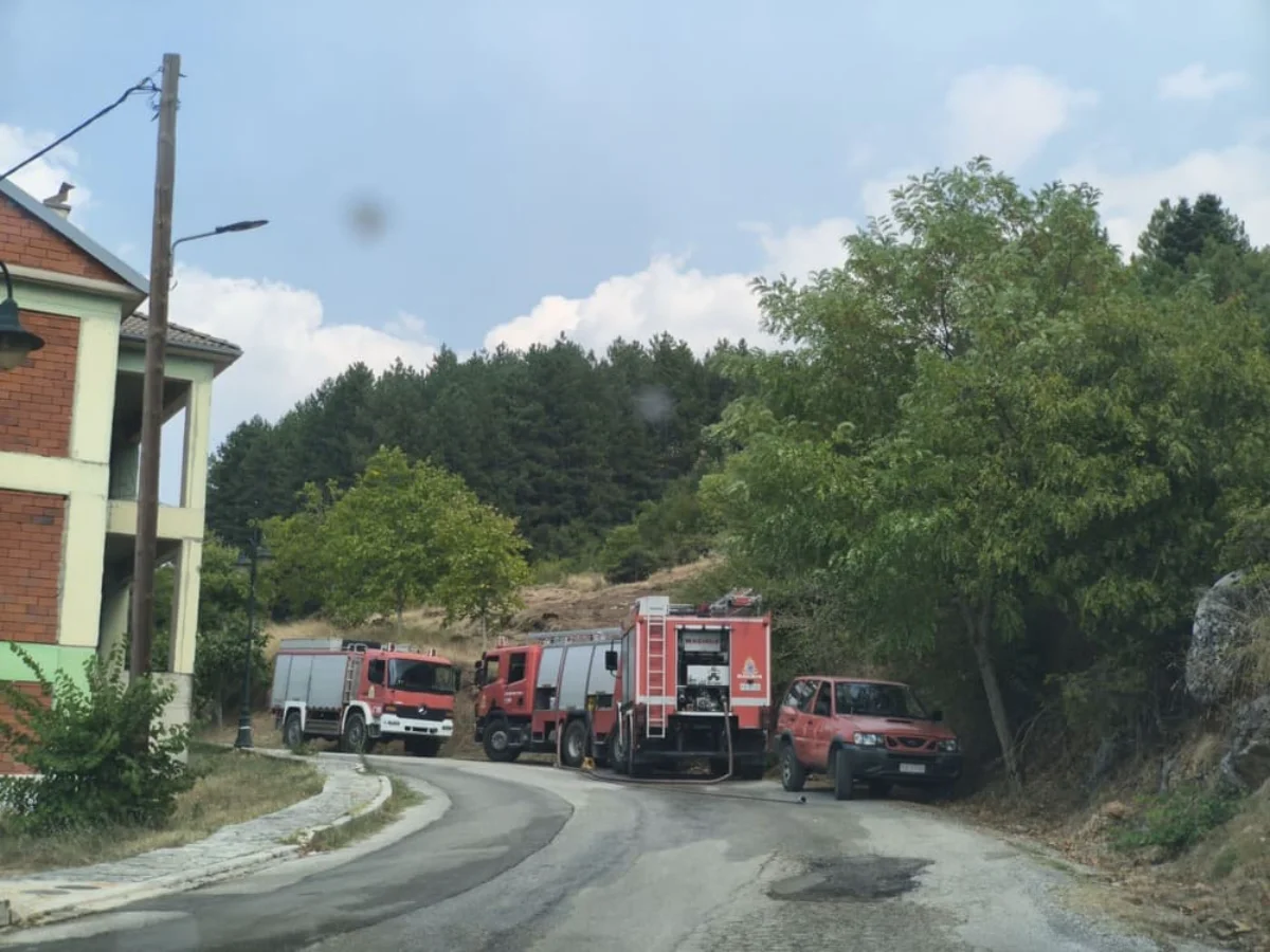 Εννέα μέρες στον πύρινο εφιάλτη, συνεχίζεται η μάχη στην Κόνιτσα- Εικόνες 2 trapzitsa