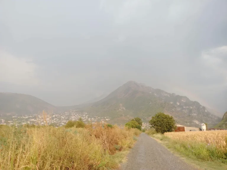 vroxi konitsa