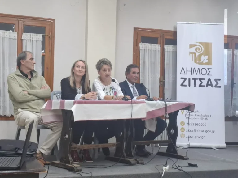 imerida zitsa