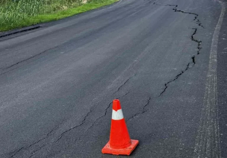 katizisi plataria