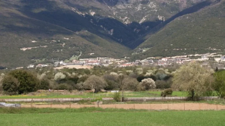 metamorfosi karies