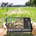 programma neon agroton