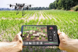 programma neon agroton