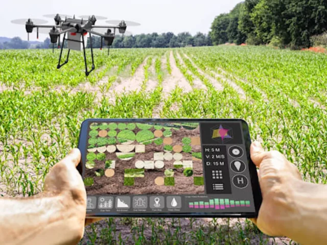 programma neon agroton