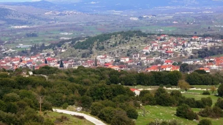 rodotopi