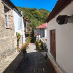 xorio