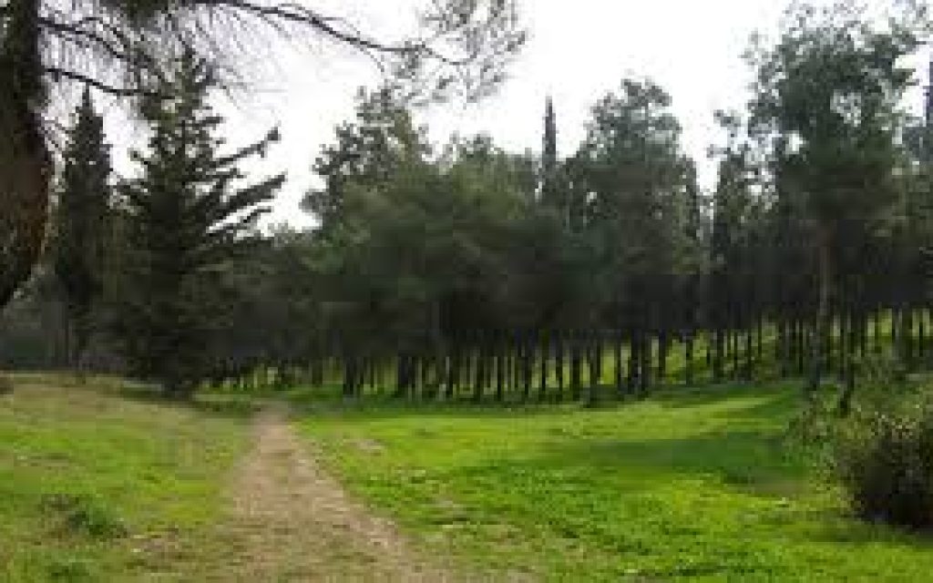 ALSOS IOANNINA
