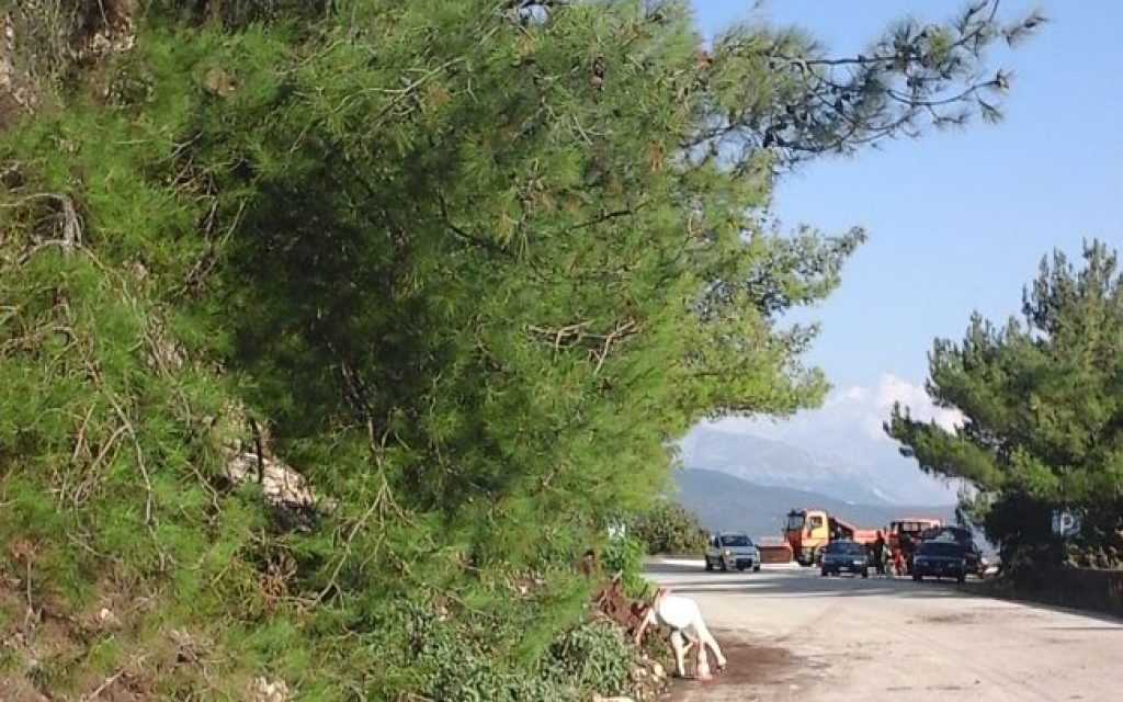 APEYKA E1