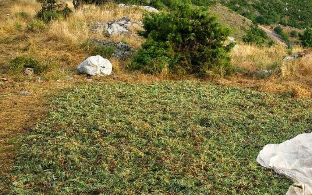 AROMATIKA TSAMANTAS