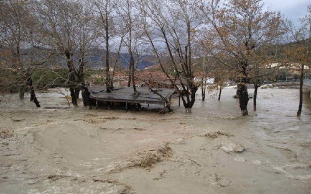 ARTA PL1