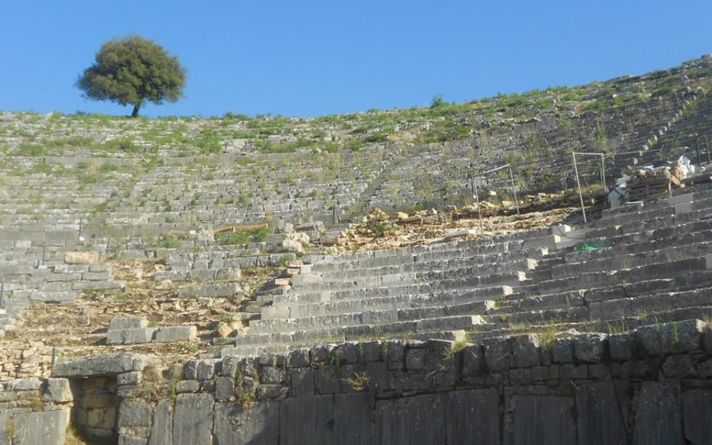 ARXAIA DODONH1 31