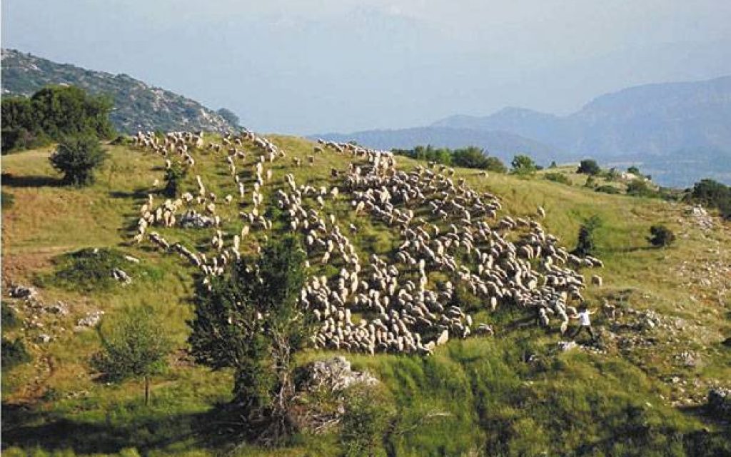 BOSKOTOPOI