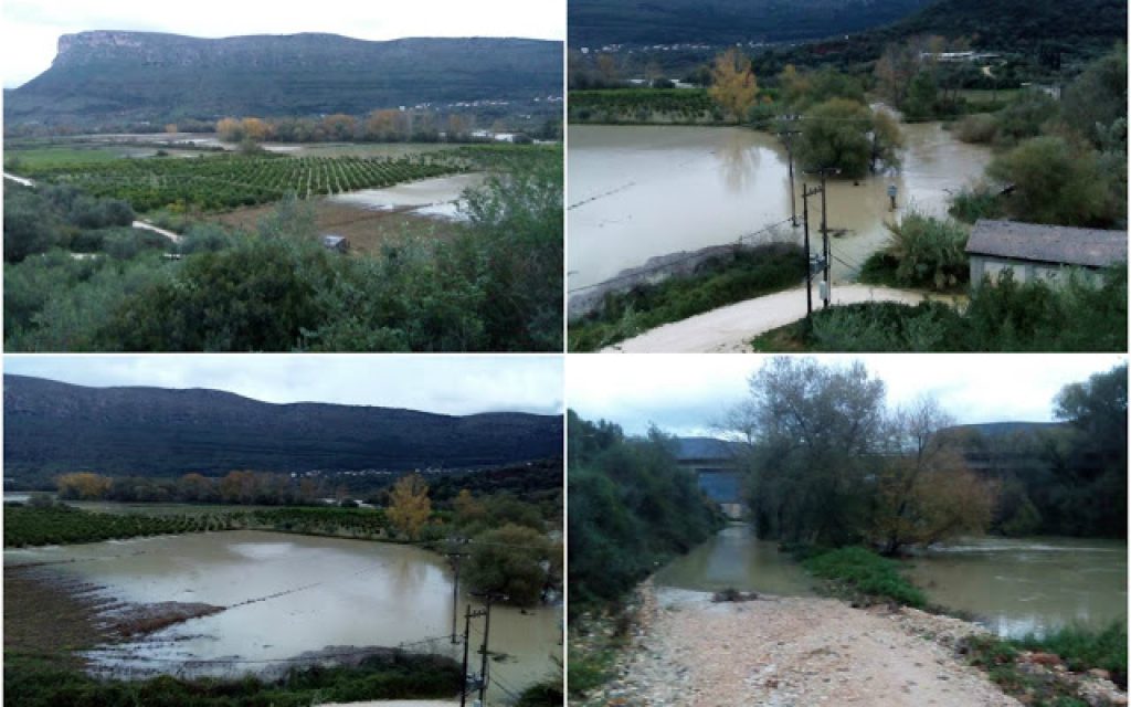 BRYSELA