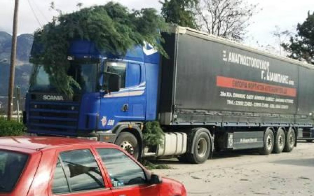 DENTRO FORTHGO