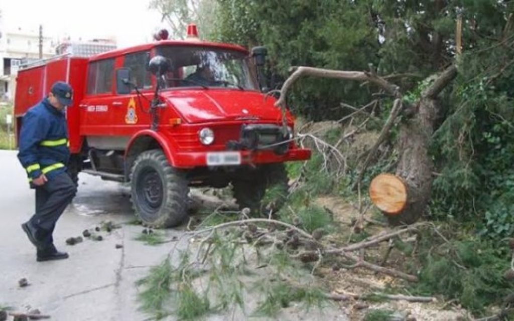 DENTRO PYROS 14