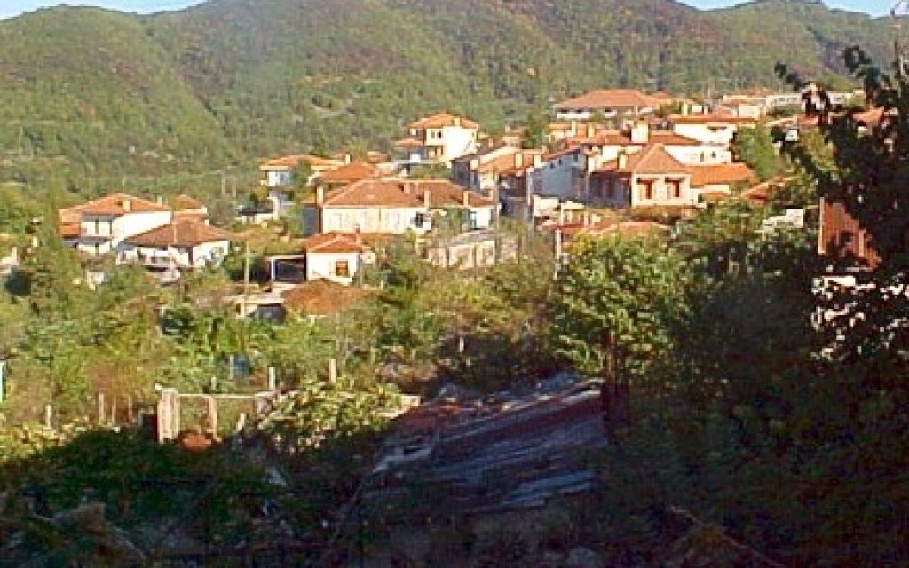 DOLIANA14