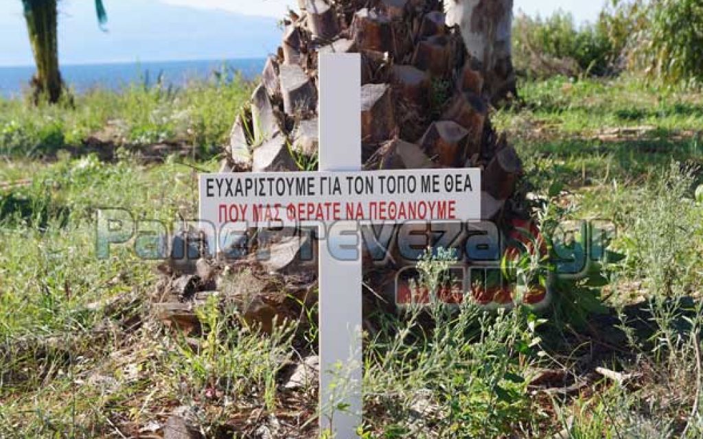FOINIKAS STAYROS