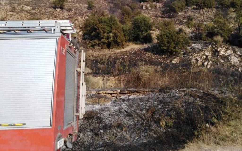 FOTIA KASTRITSA A2