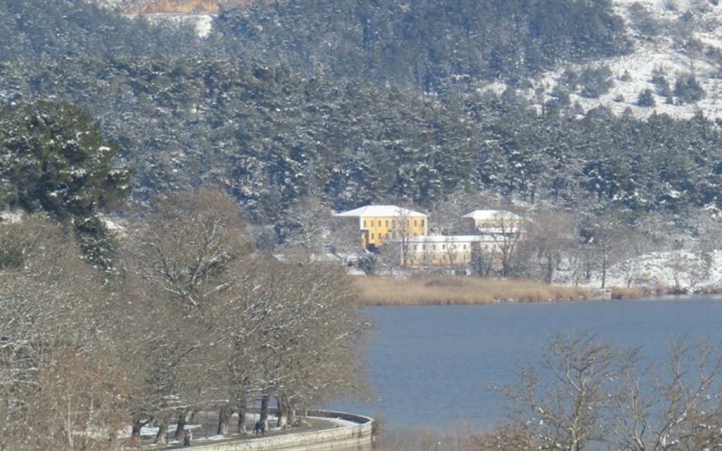 GIANNENA XIONI IANOYARIOS2