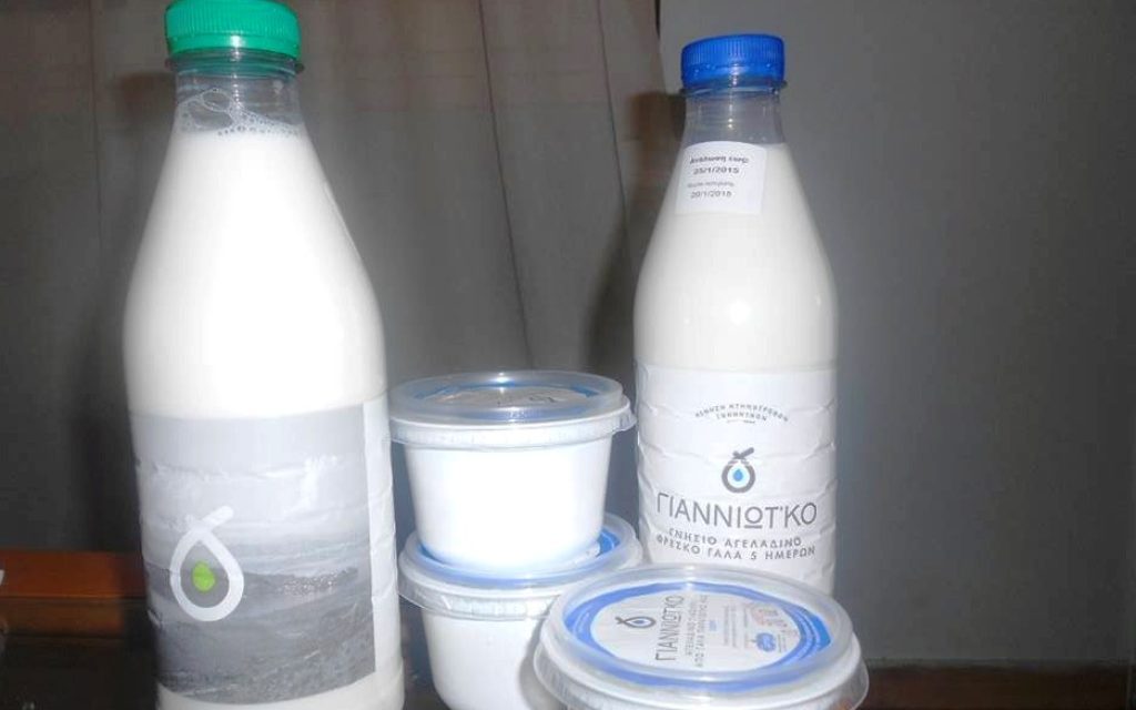 GIANNIOTKO1
