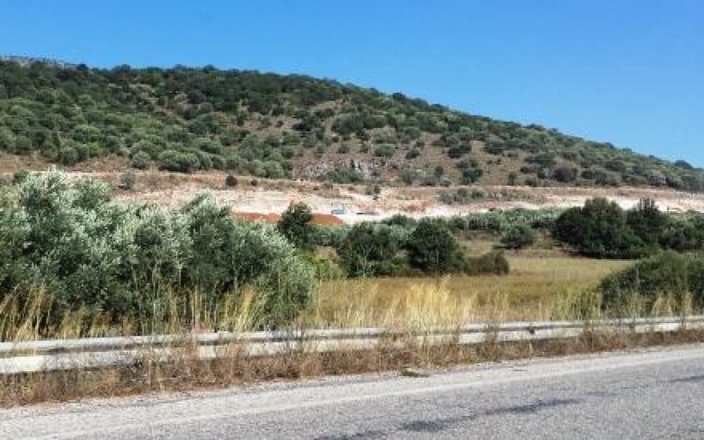 IONIA 3 8