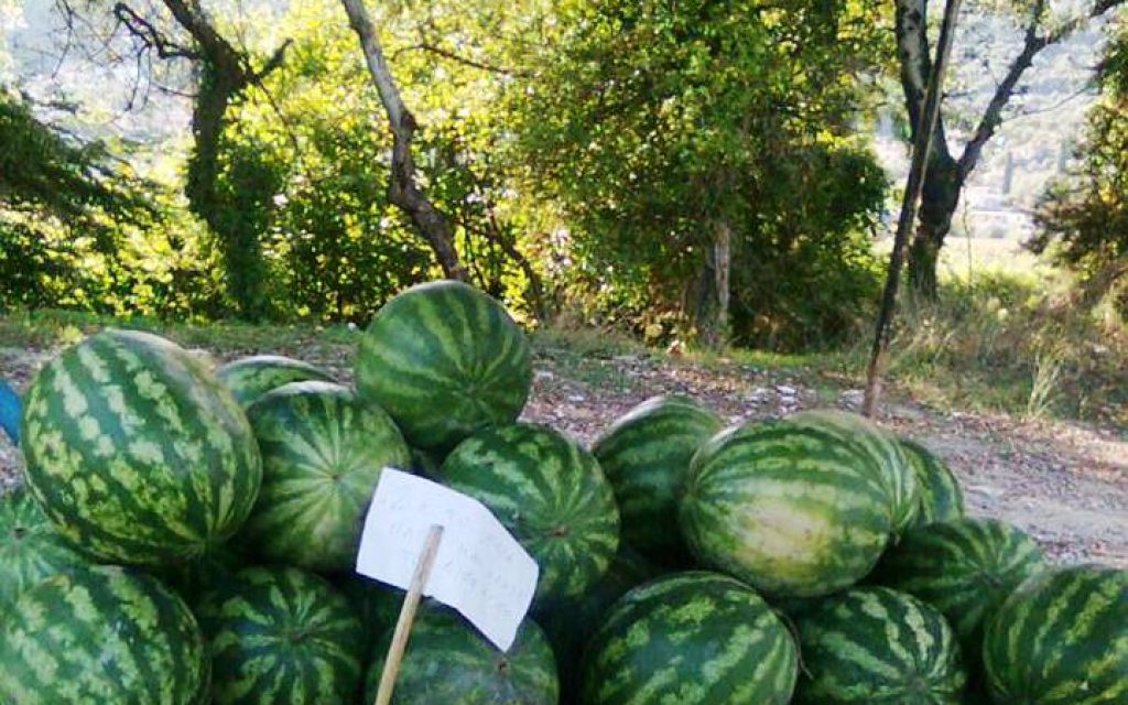 KARPOYZI1