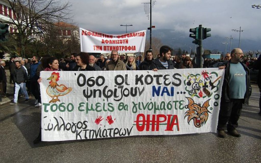 KOTES KTHNIATROI