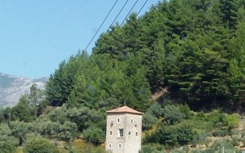 KOYLIA PARAMYTIA