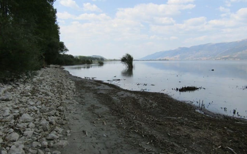 LAKE PT1