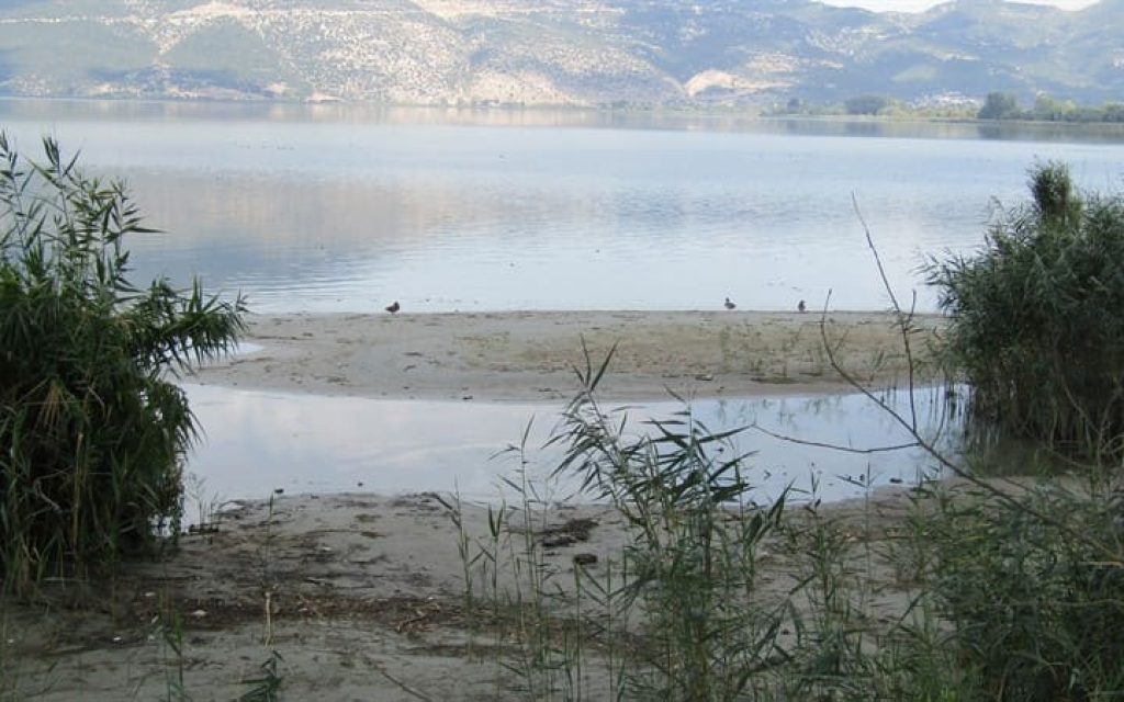 LAKE PT6