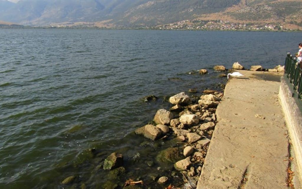 LAKE T1