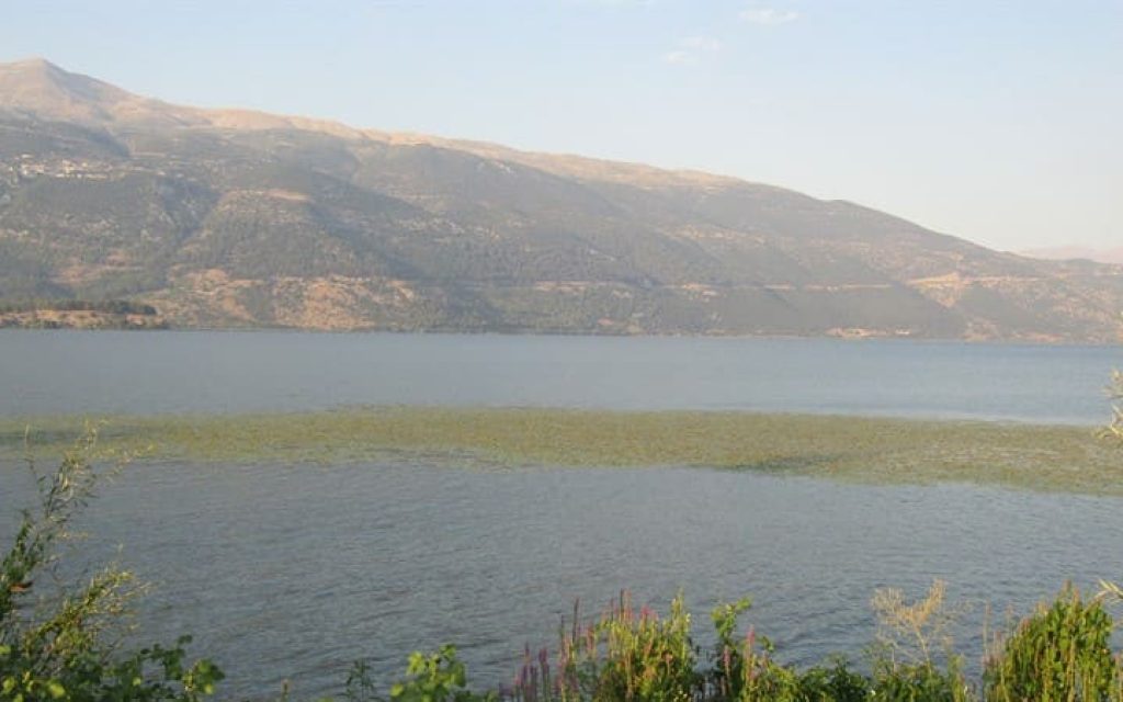 LAKE T6