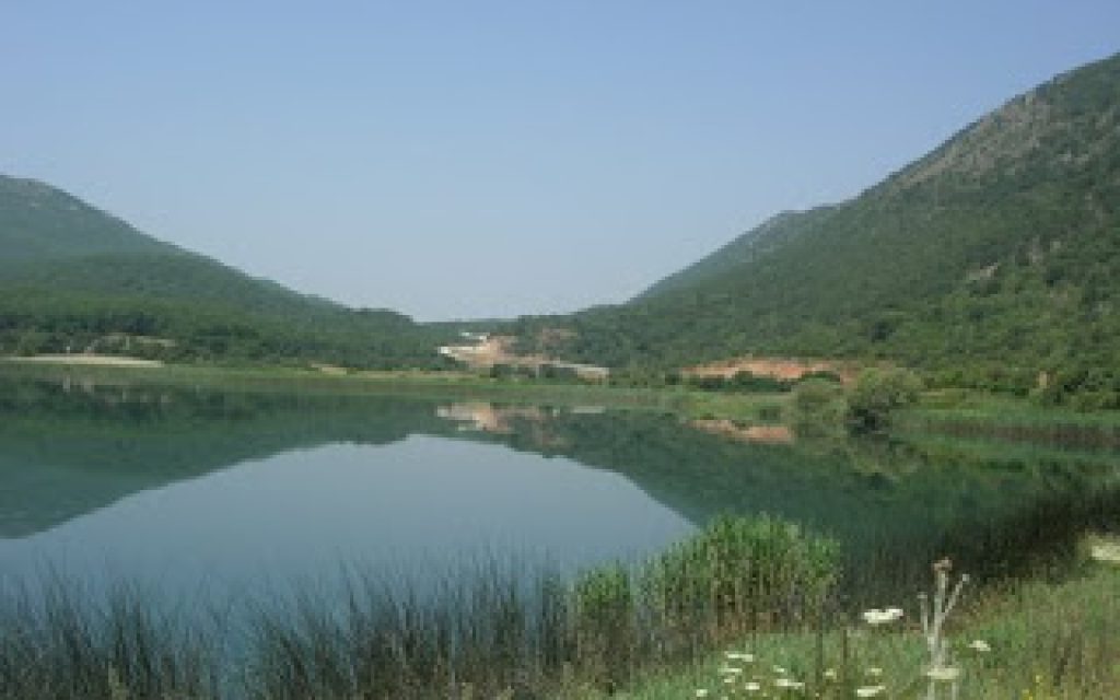 LIMNH ZARABINA