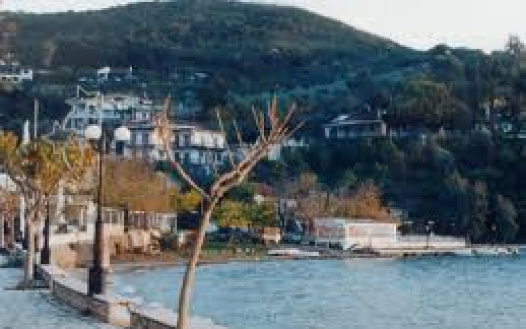 MENIDI