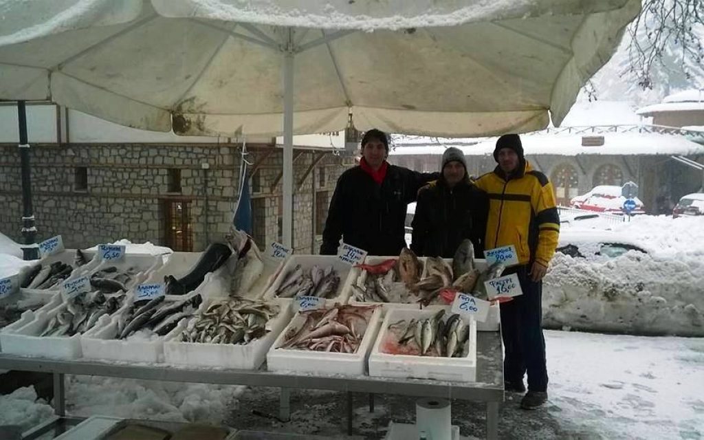 METSOBO PSARIA