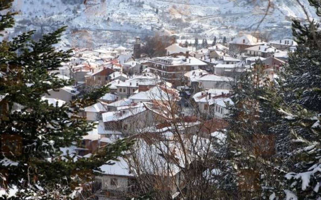 METSOBO XIONI14