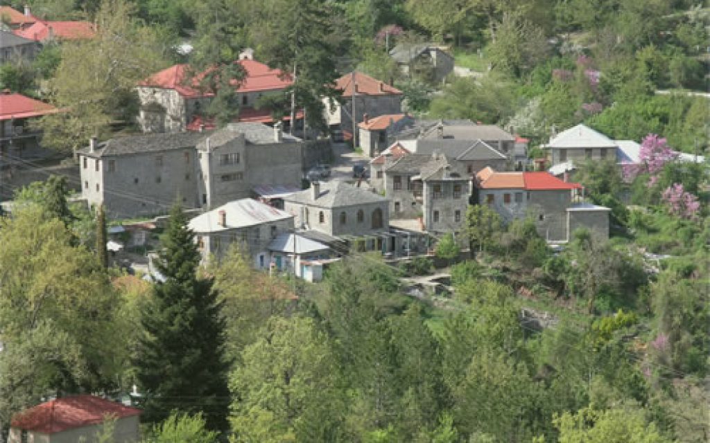 MOLISTA 1 7