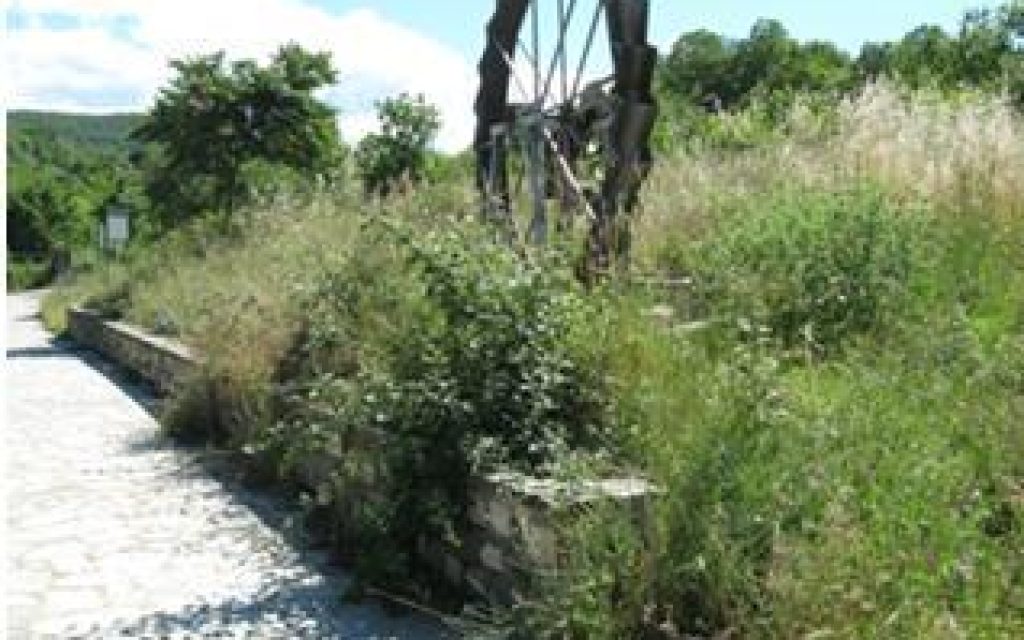 NEROMYLOS ROGOZIOY