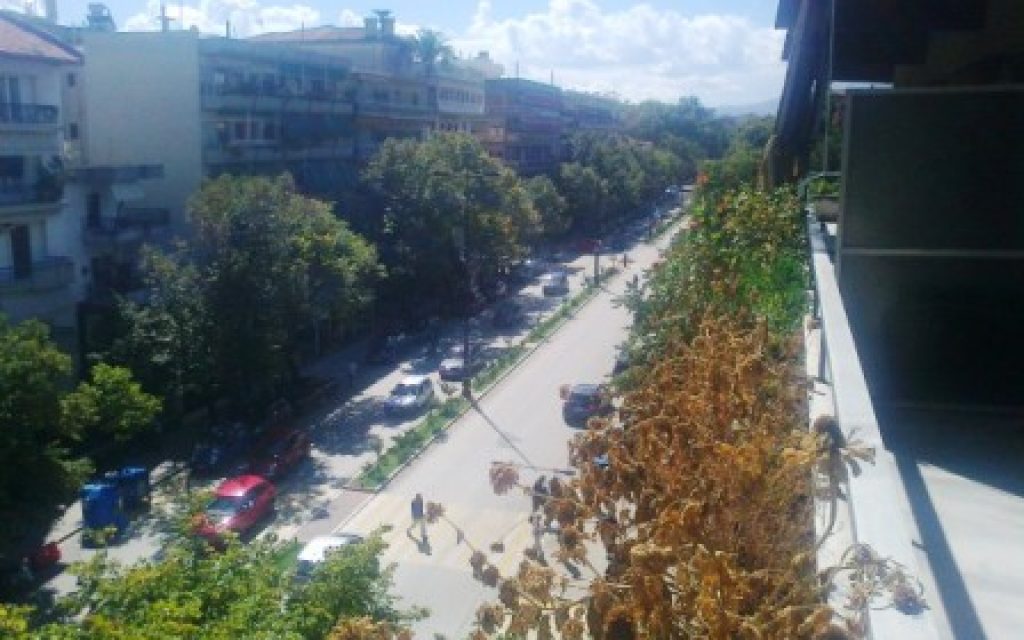ODOS DODONHS