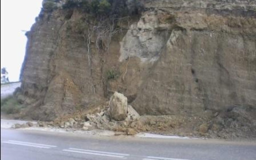 PALAIOBOYNA1