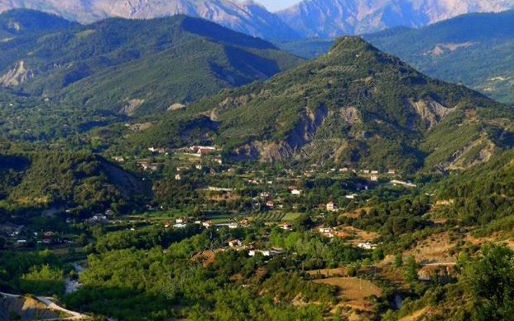 PALAIOKATOYNO A