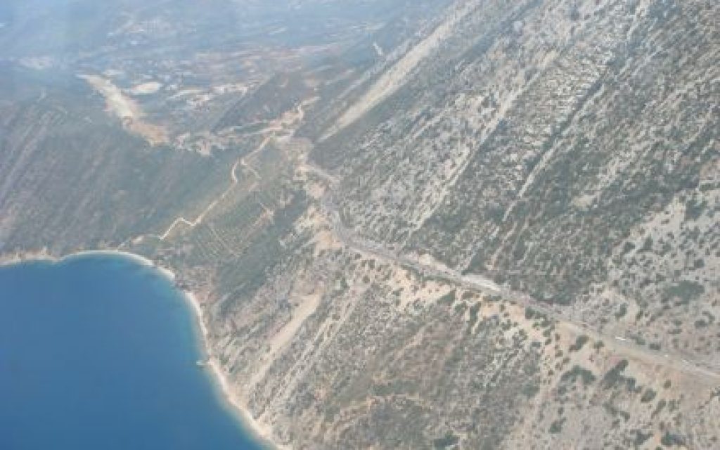 PALIOBOYNA