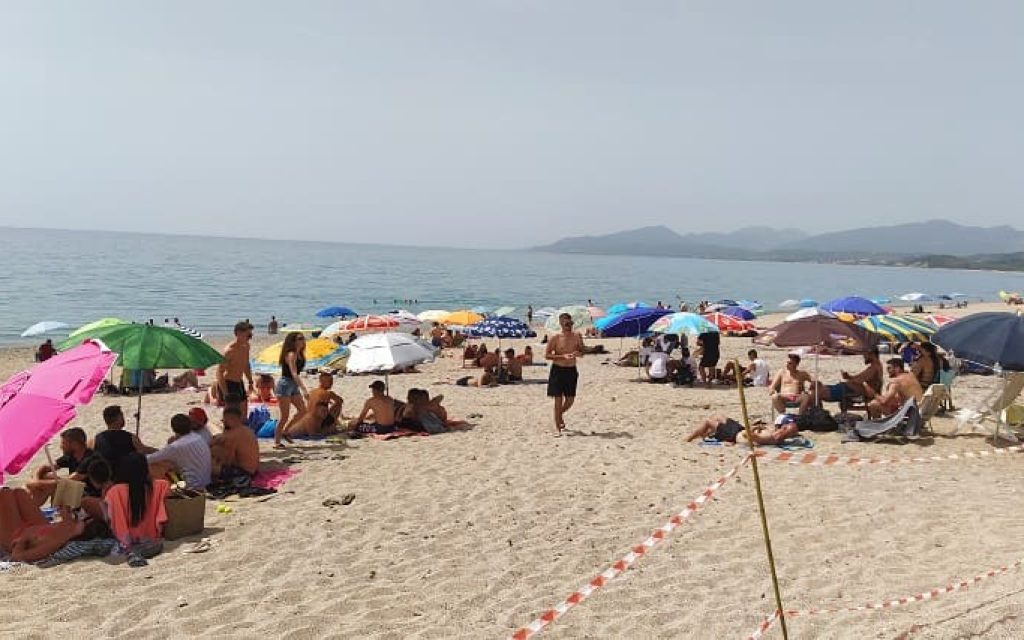 PARALIA ARSH1