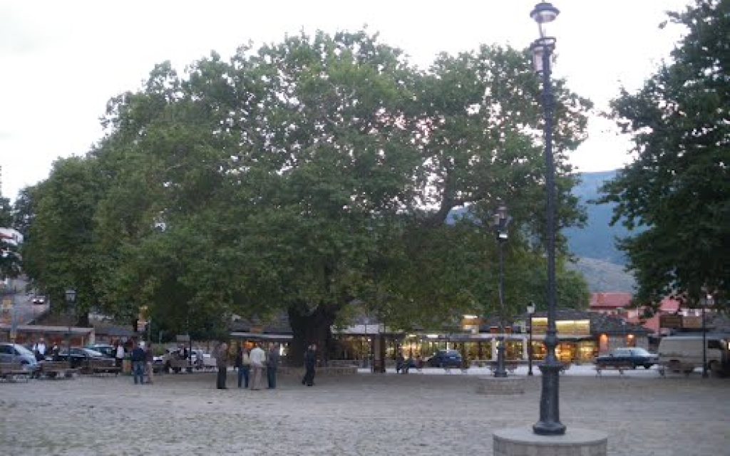 PLATEIA METSOBO