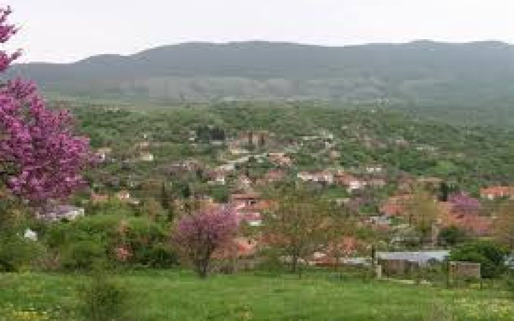 POGONIANH