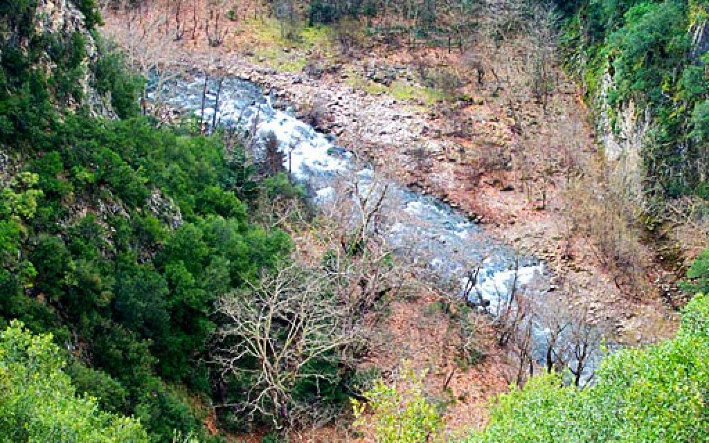 POTAMOS TOPIO