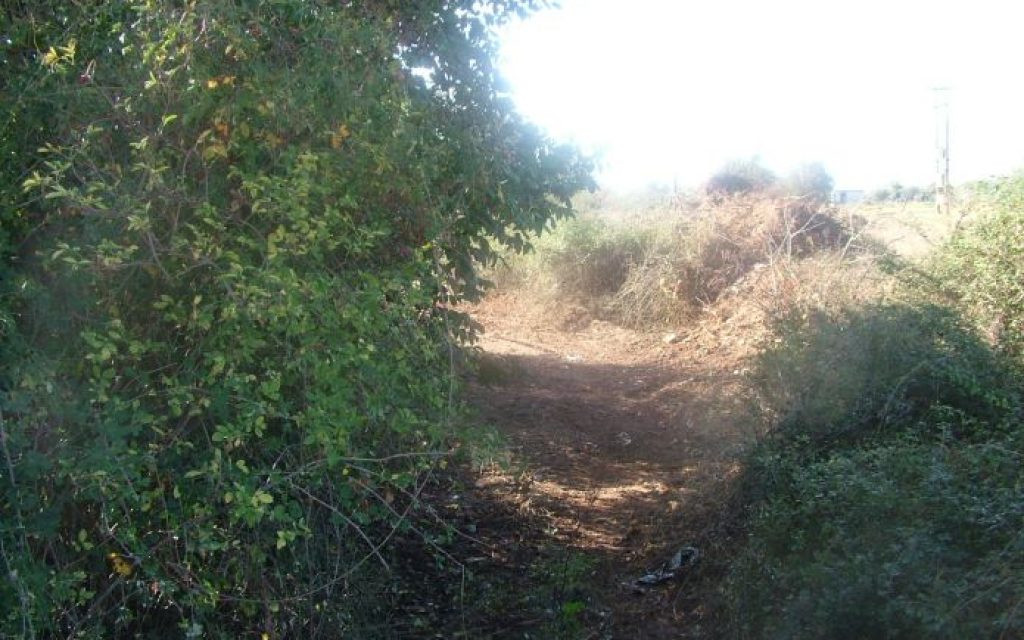 REMATA K