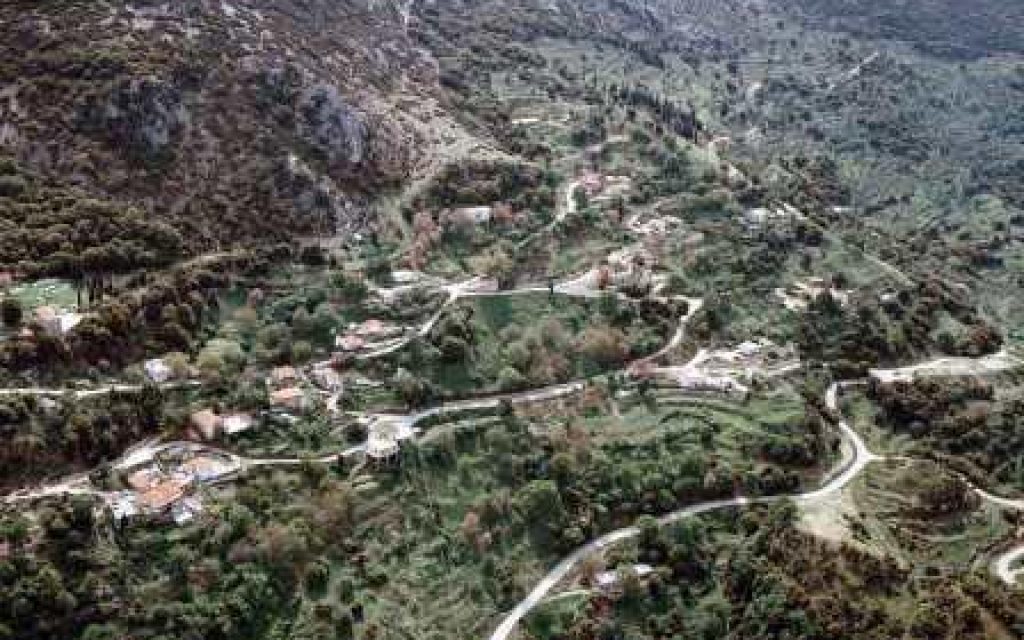 RIZO ARAXOBA