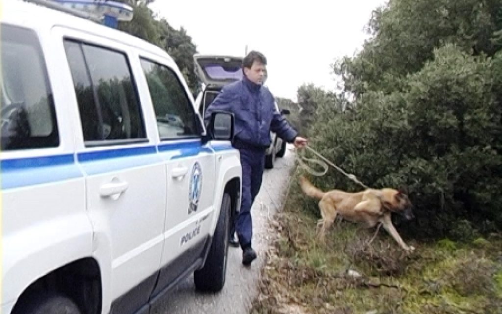RODOTOPI