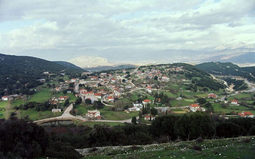 SERBIANA D